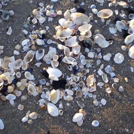 Ferienwohnung-hafenflair Апартаменты