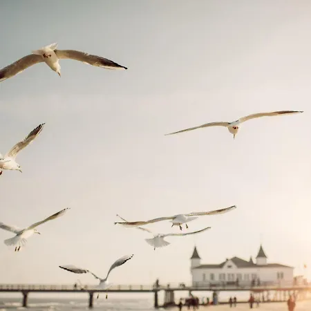 Ferienwohnung-hafenflair Апартаменты *